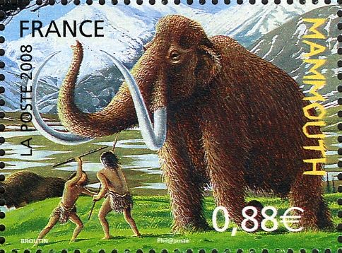 Wooly Mammoth (Mammuthus primigenius)