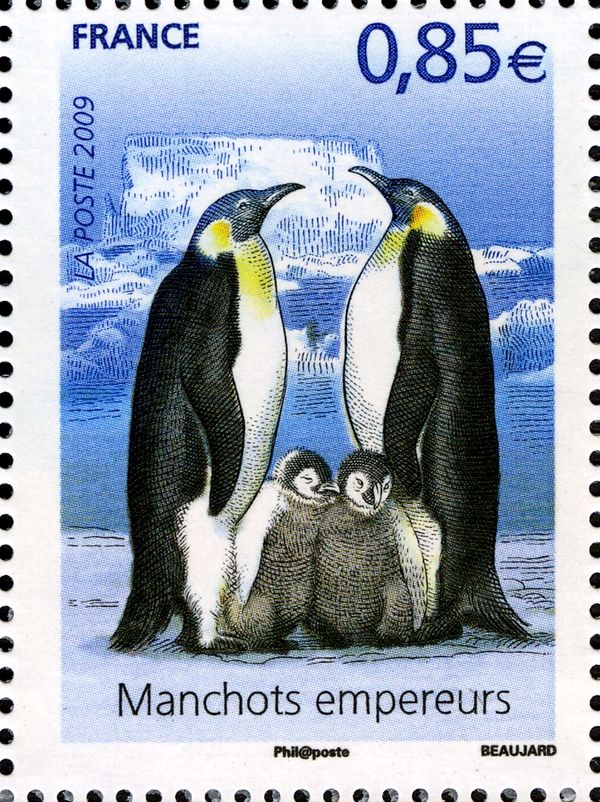 Emperor Penguin (Aptenodytes forsteri)