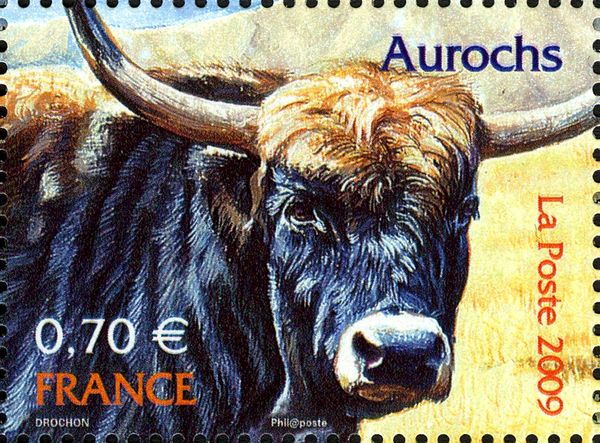 Aurochs (Bos primigenius)