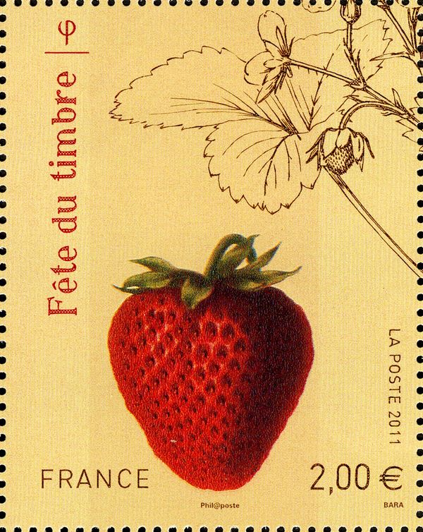 Strawberry Plant