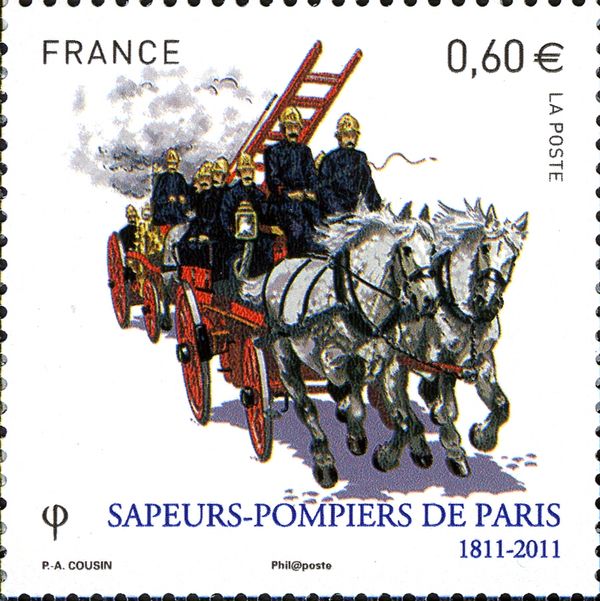 Horse Team