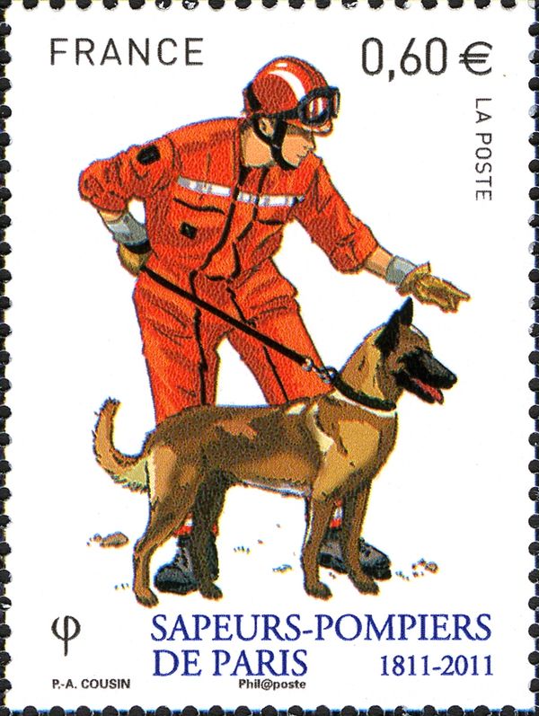 Dog Handlers With Search Dog