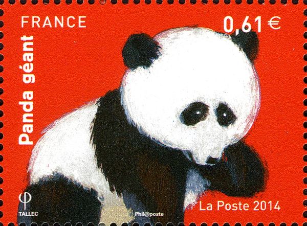 Giant Panda (Ailuropoda melanoleuca)