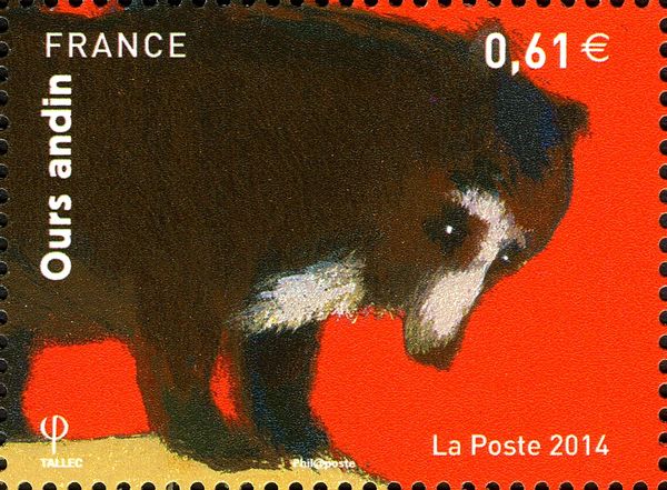 Spectacled Bear (Tremarctos ornatus)