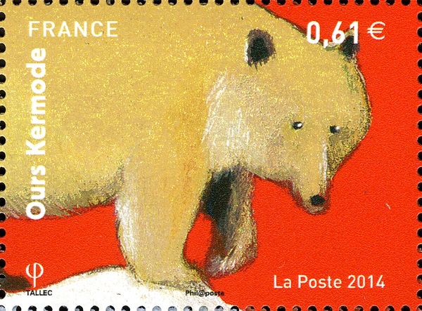 Kermode Bear (Ursus americanus kermodei)