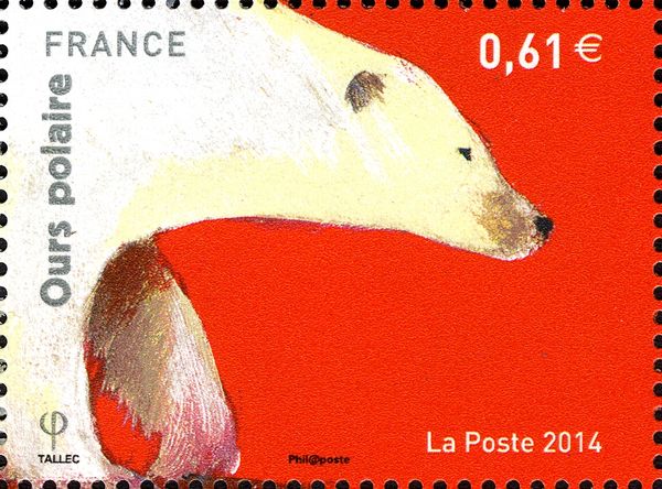 Polar Bear (Ursus maritimus)