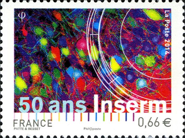 50 Years Inserm