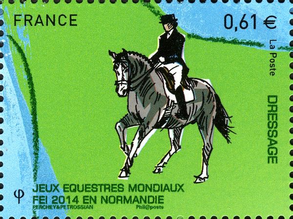 Dressage