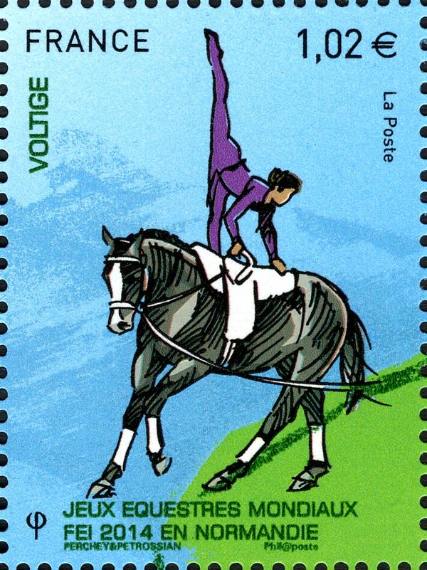 Voltige