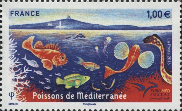 Mediterranean fish