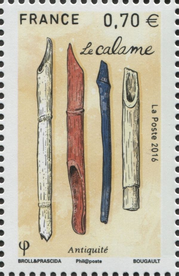 The calamus
