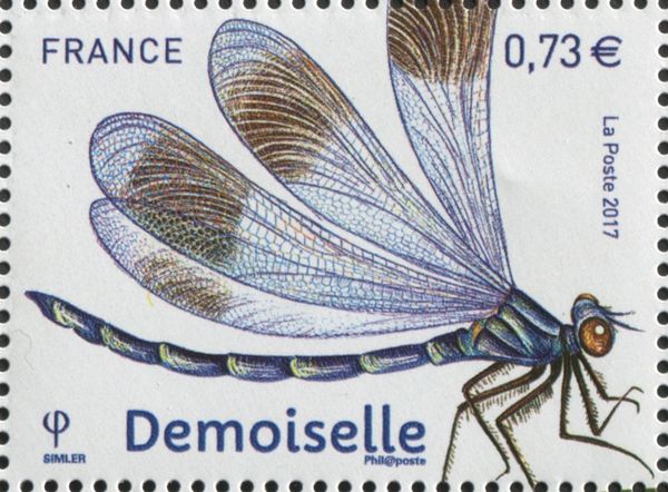 libellula (Libellule)