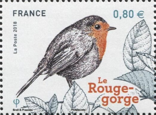 Rouge-Gorge