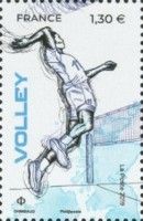 Volleyball
