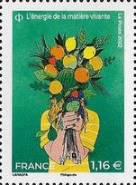 Bouquet of Fruits