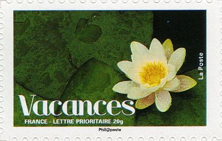 Lotus Flower (Nymphaea alba)