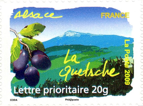 Alsace - Damson Plum