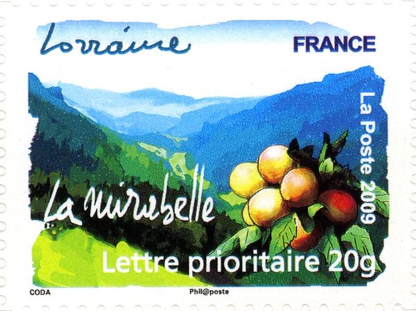Lorraine - Mirabelle Plum