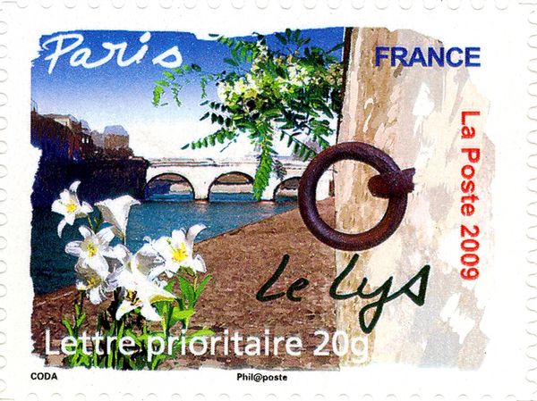 Paris - Lily