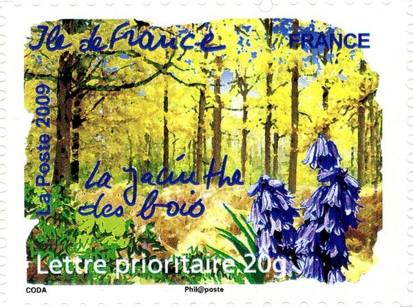Ile de France - Common Bluebell