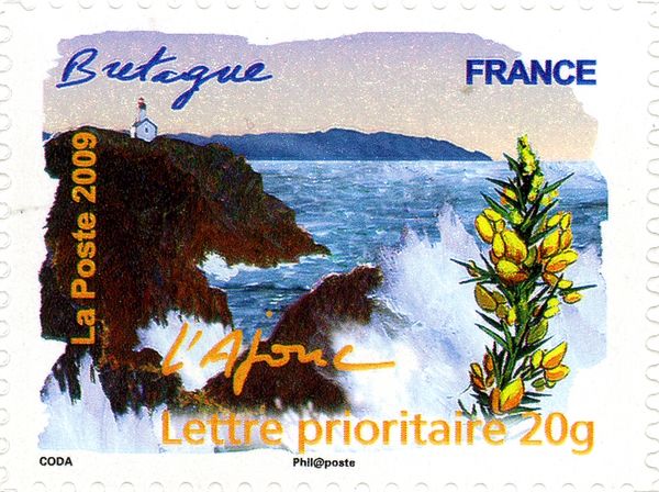Brittany - Gorse