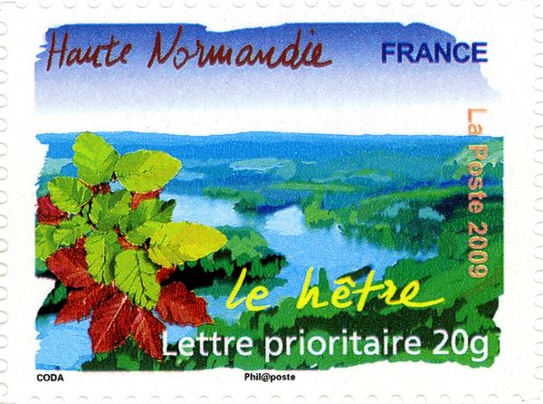 Haute Normandie - Beech Tree