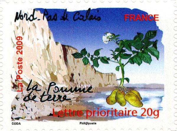Nord-Pas le Calais - Potato