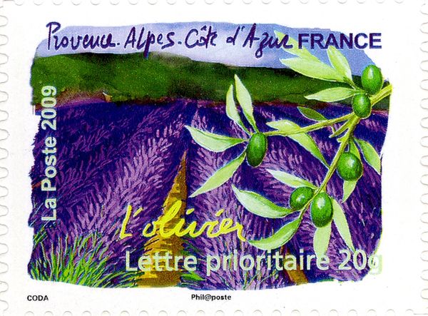 Provence-Alpes-Côte d’Azur - Olive Tree