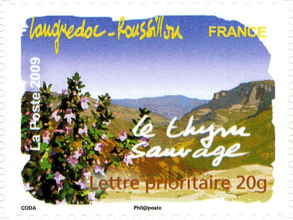 Languedoc-Roussillon - Wild Thyme