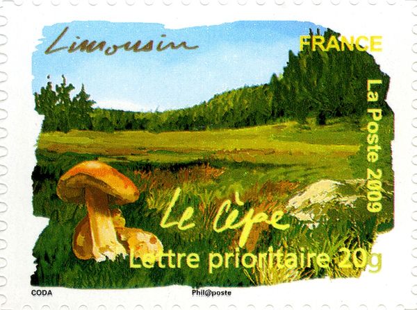 Limousin - Cepe Mushroom