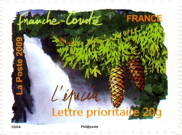 Franche-Comté - Spruce