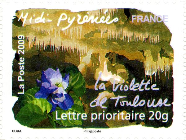 Midi Pyrénées - Violet