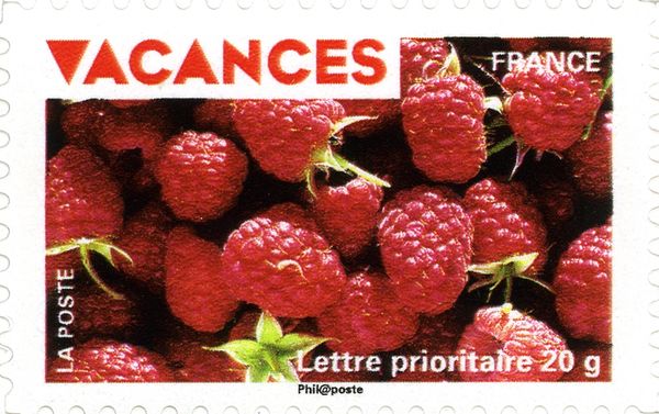 Holiday Stamps- Raspberries