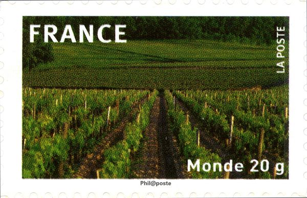 Bordeaux Vineyard