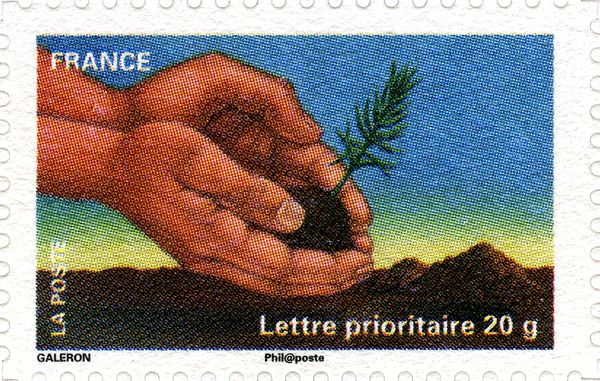 Hand with Seedling