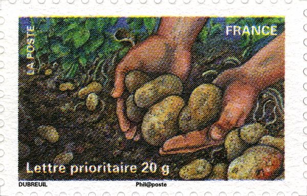 Hands with Potatoes