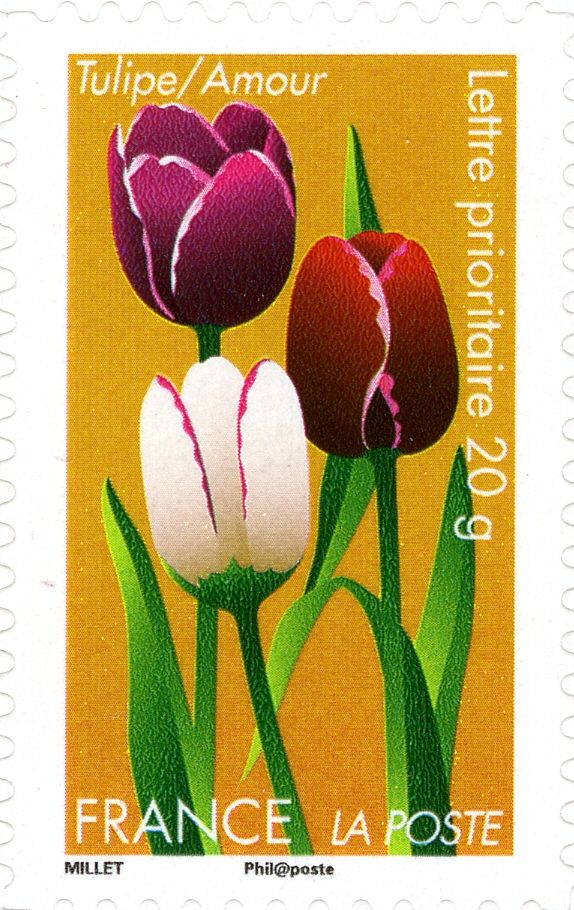 Tulipe = Amour