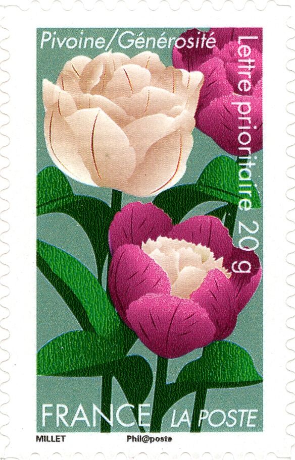 Pivoine = Générosité