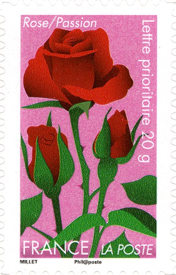 Rose = Passion