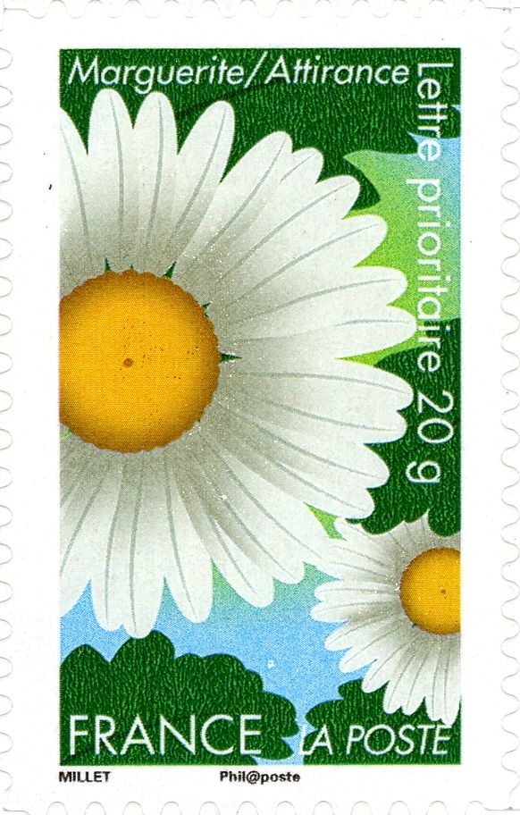 Margueritte = Attirance