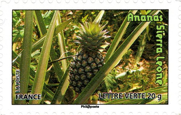Pineapple from Sierra Leone