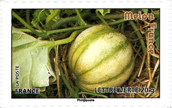 Melon France