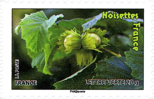 Hazelnuts