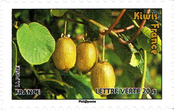 Kiwis