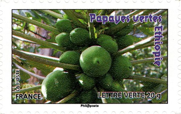 Papayas from Ethiopia