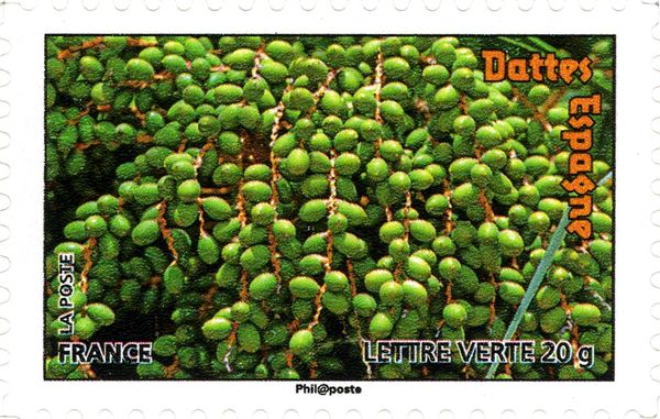 Dates - Spain