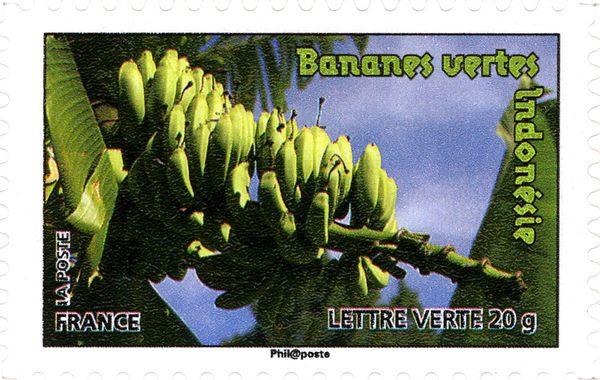 Bananas Indonesia