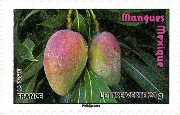 Mangoes Mexico