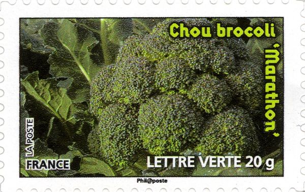 Chou brocoli