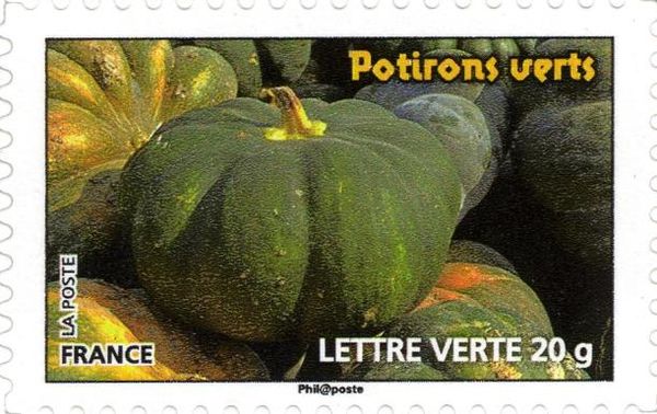 Green Pumpkins (Potirons verts)